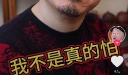 刘能老婆爆料视频播放,揭秘背后惊人真相